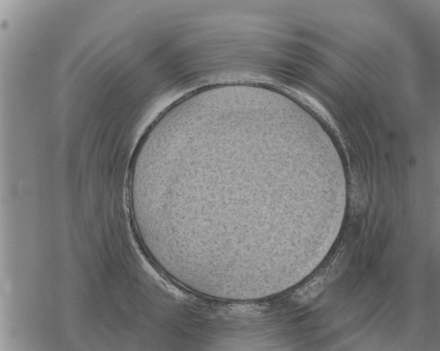 X0000068740847200605262049