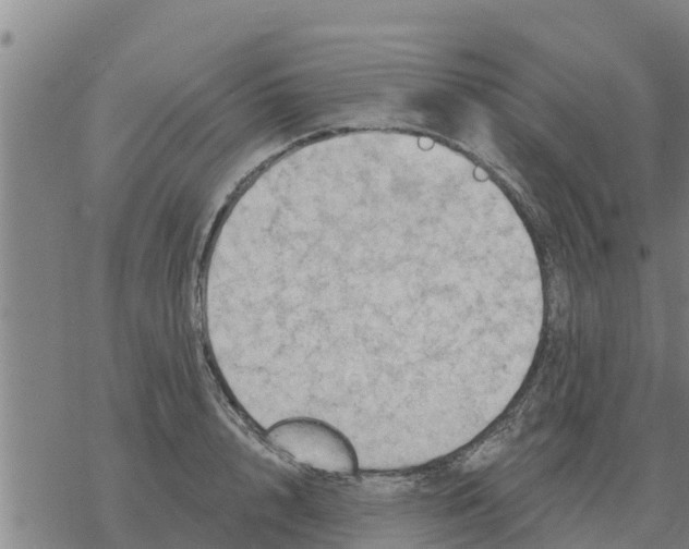 X0000068740848200605262049