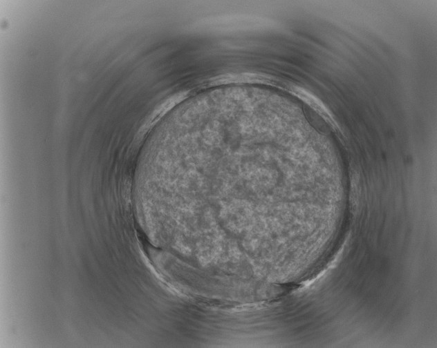 X0000068740849200605262049