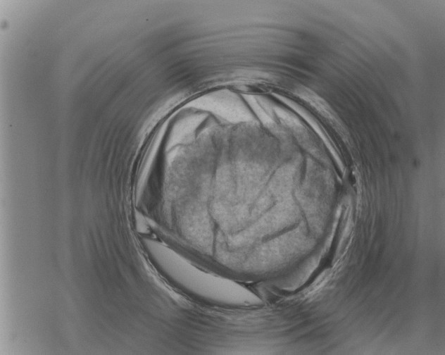 X0000068740850200605262049