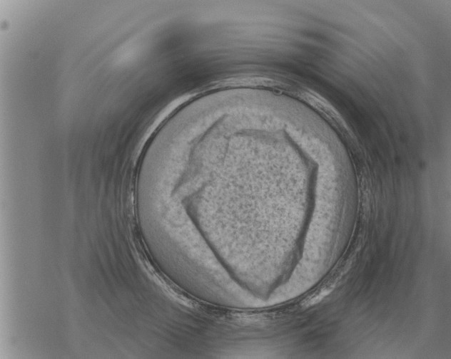 X0000068740852200605262049