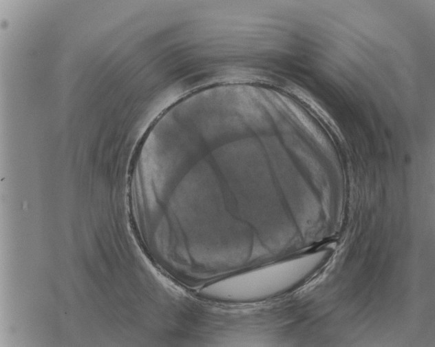 X0000068740853200605262049