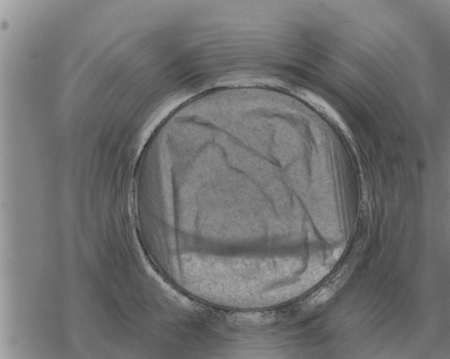 X0000068740855200605262049