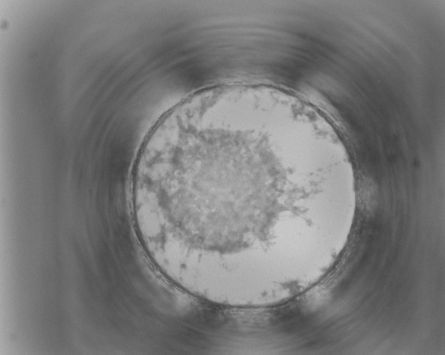 X0000068740856200605262049