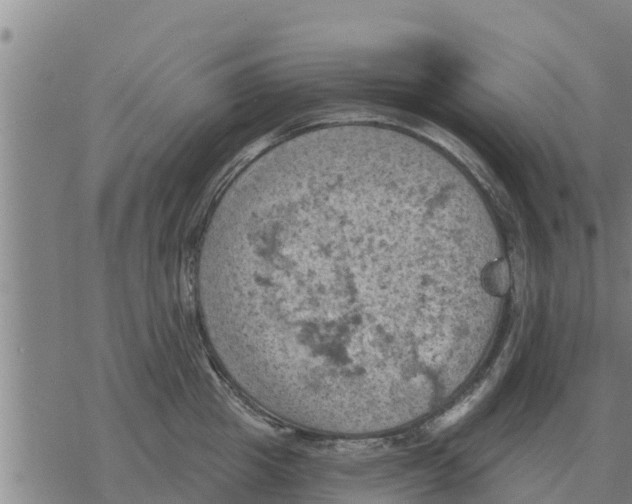 X0000068740857200605262049