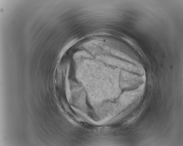 X0000068740858200605262049