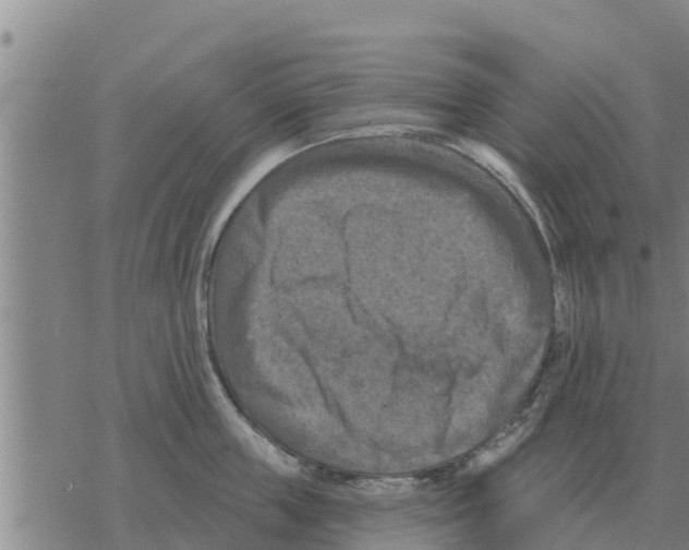 X0000068740859200605262049