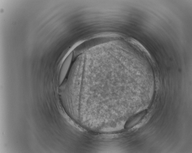 X0000068740860200605262049