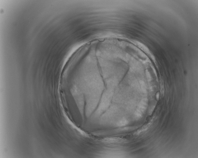 X0000068740863200605262049