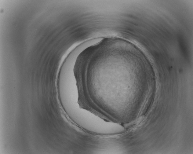 X0000068740864200605262049