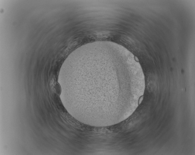 X0000068740866200605262048