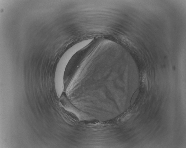 X0000068740868200605262048