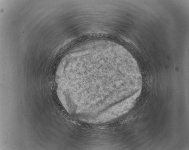 X0000068740870200605262048