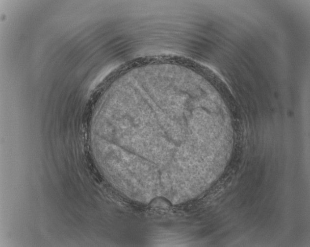 X0000068740871200605262048