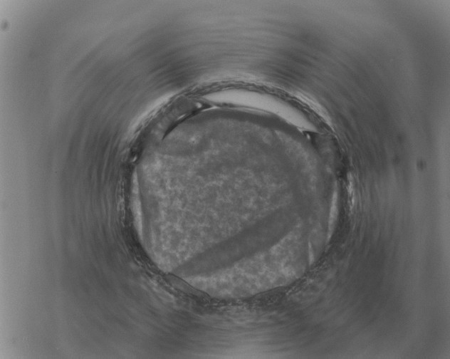 X0000068740872200605262048