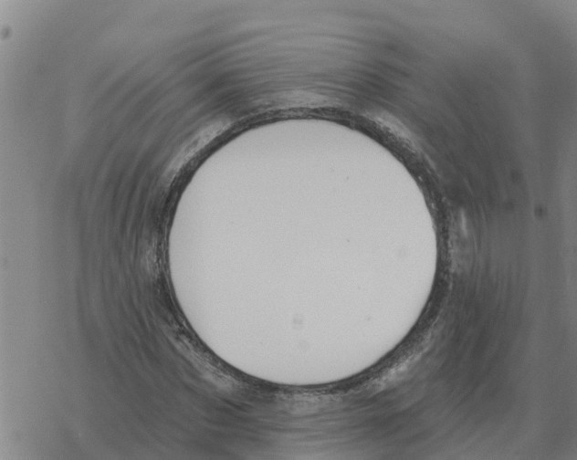 X0000068740873200605262048