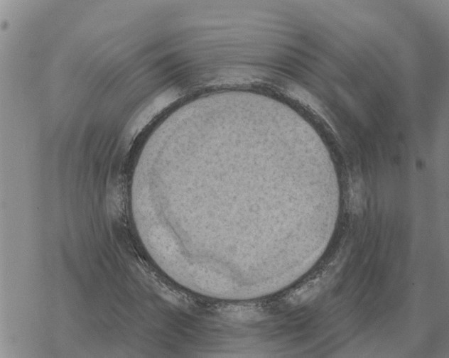 X0000068740874200605262048