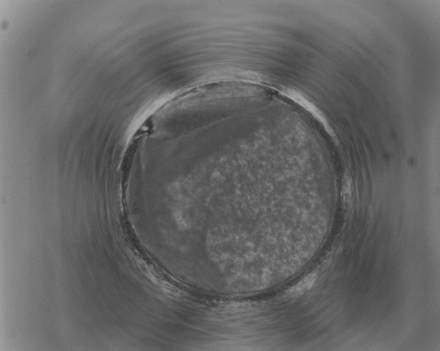 X0000068740877200605262048