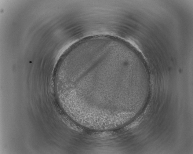 X0000068740879200605262048