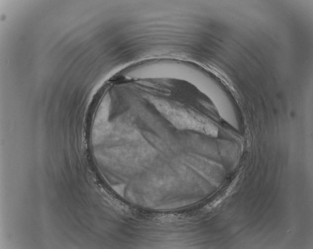 X0000068740880200605262048