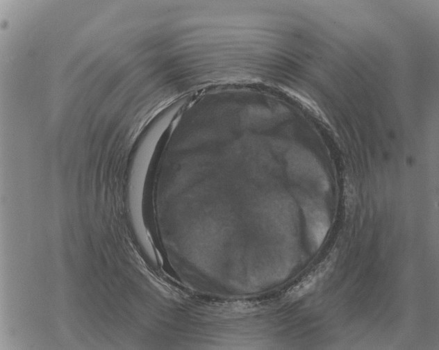 X0000068740881200605262048