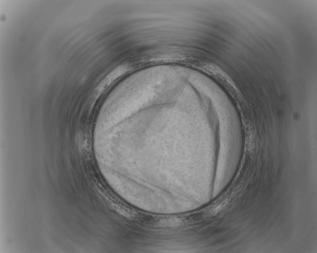 X0000068740882200605262048