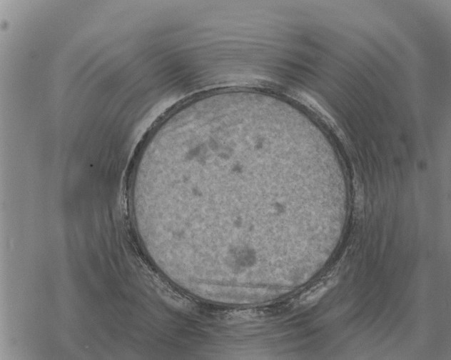 X0000068740883200605262048