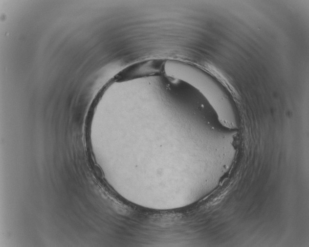 X0000068740884200605262048