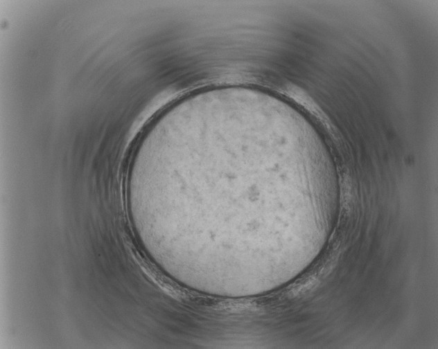 X0000068740886200605262048