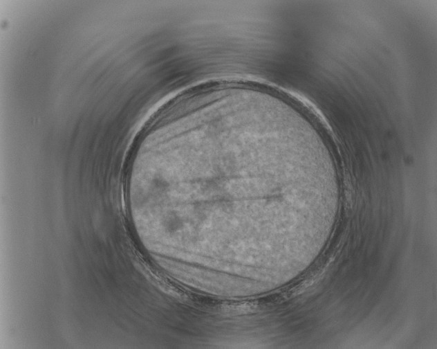 X0000068740887200605262048