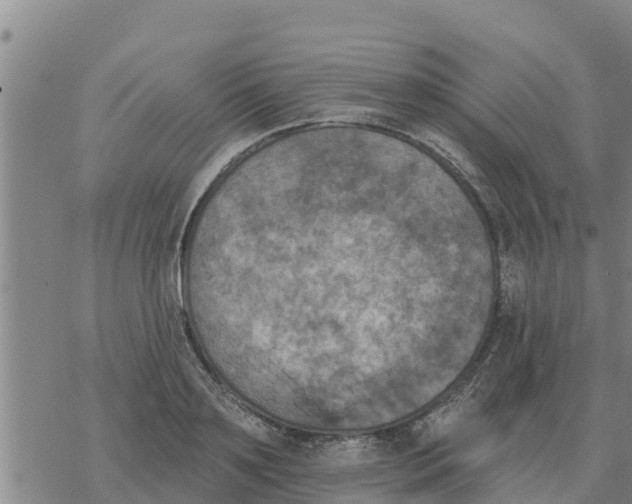 X0000068740891200605262048