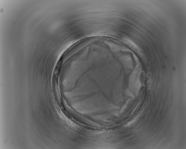 X0000068740892200605262048