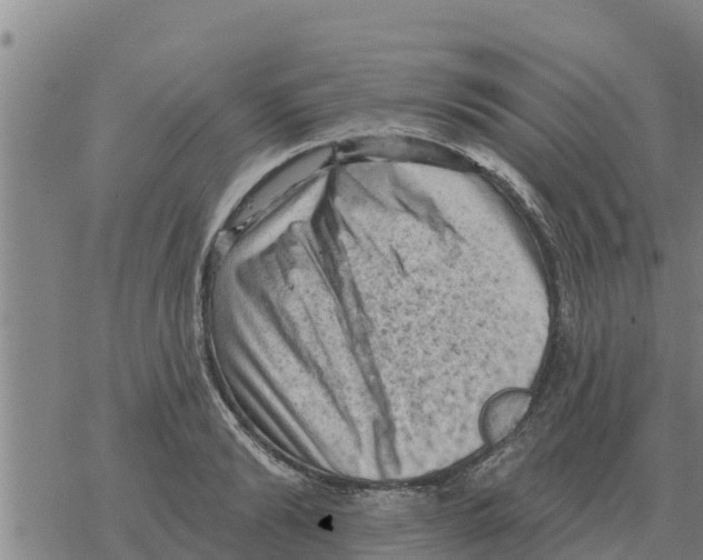 X0000068740894200605262048