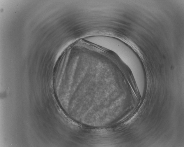 X0000068740896200605262048