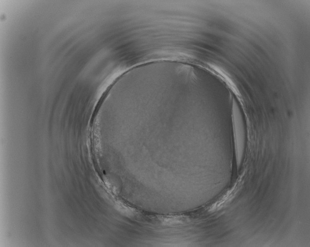 X0000068740899200605262048