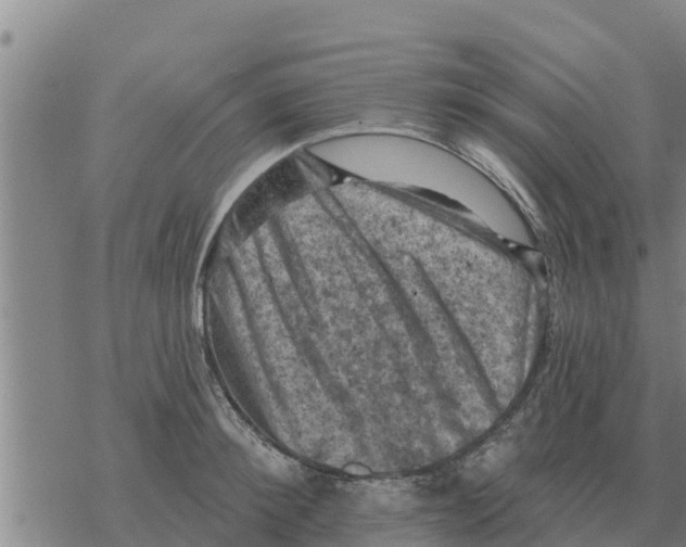 X0000068740900200605262048