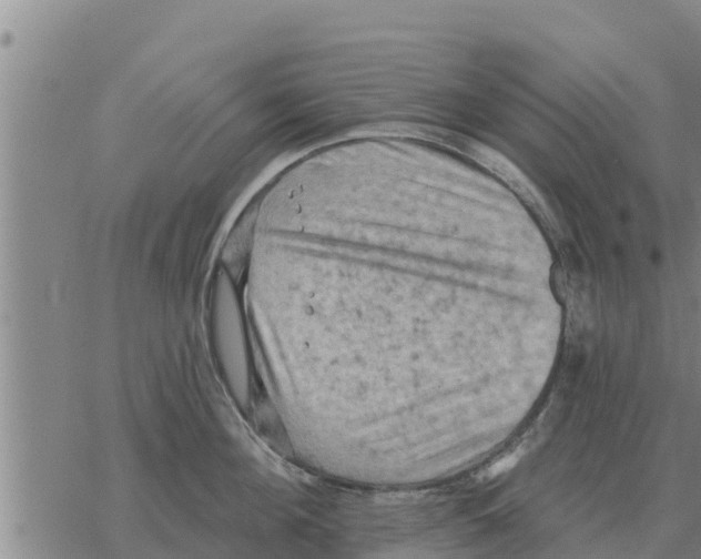 X0000068740908200605262047