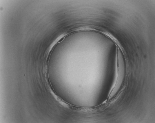 X0000068740909200605262047