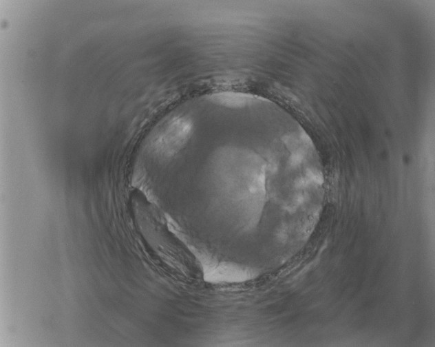 X0000068740913200605262047