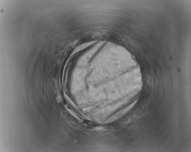 X0000068740914200605262047