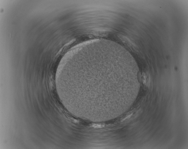 X0000068740915200605262047