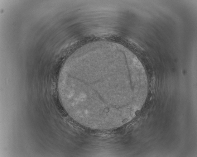 X0000068740917200605262047