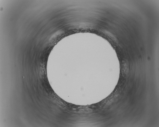 X0000068740918200605262047