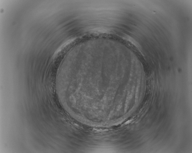 X0000068740919200605262047