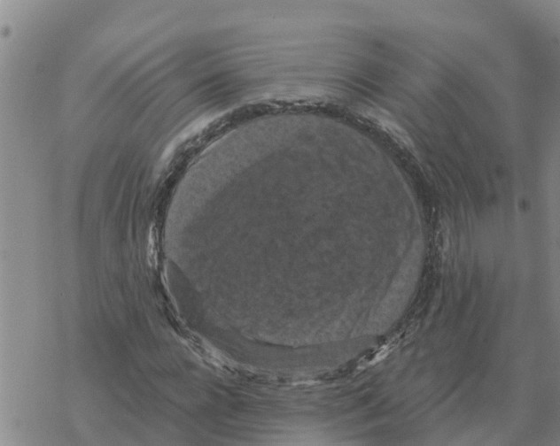 X0000068740920200605262047