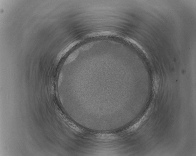 X0000068740921200605262047