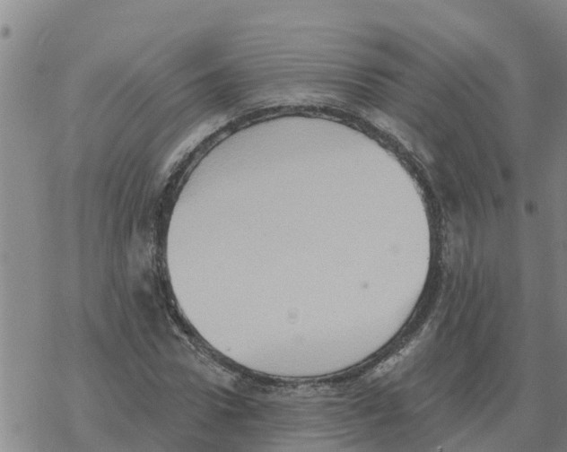 X0000068740922200605262047