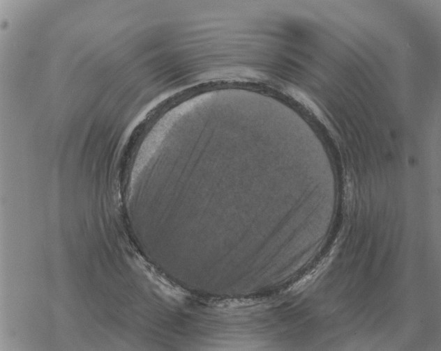 X0000068740923200605262047