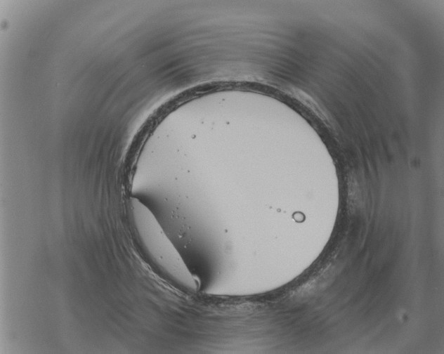 X0000068740926200605262047