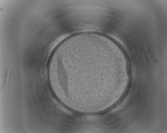 X0000068740933200605262047